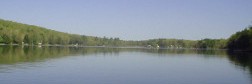 Welcome to Queen Lake Consulting